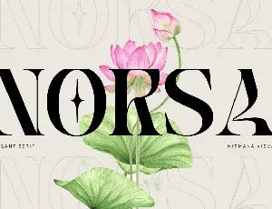 Fashion Norsa font