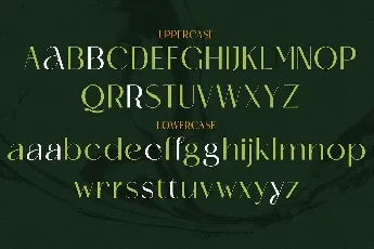 Catchye font