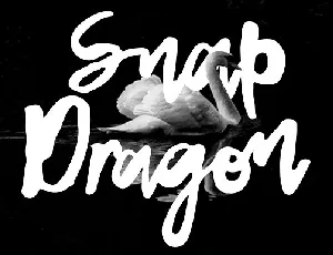 Snap Dragon Script Free font