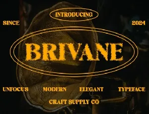 Brivane Unfocus font