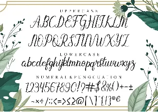 Baybe Evaline font