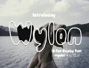 Wylon font