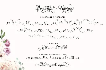 Beautiful Spring font