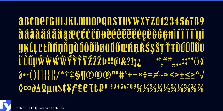 Vexler Slip font