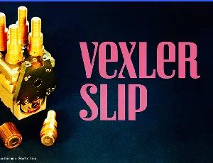 Vexler Slip font