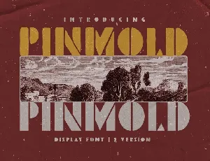 Pinmold font