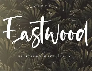 Eastwood Stylish Bold Script font