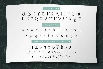 Aghmeeta Script font