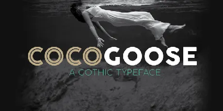 Cocogoose Pro Famly font