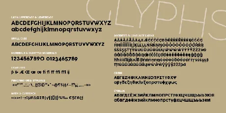 Cocogoose Pro Famly font