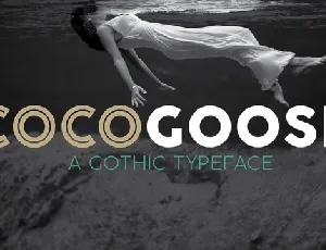 Cocogoose Pro Famly font