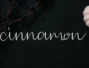 Cinnamon font