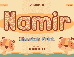 namir font