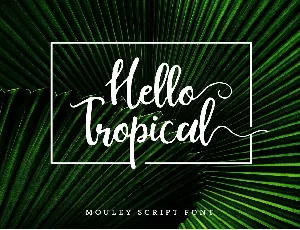 Mouley Script font