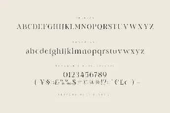 Angle font