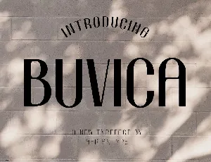 Buvica font
