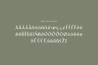 Antolia Buchery font