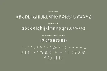 Antolia Buchery font