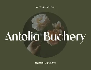 Antolia Buchery font