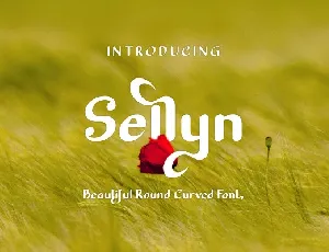 Sellyn font