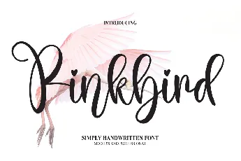 Pinkbird font