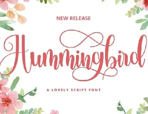 Hummingbird Script font