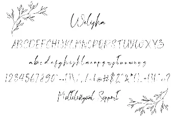 Welisha Demo font