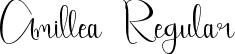 Amillea Regular font - Amillea.ttf