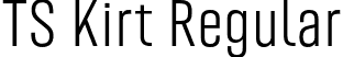 TS Kirt Regular font - TSKirt-Regular.otf