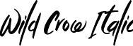 Wild Crow Italic font - Wild Crow - TTF.ttf