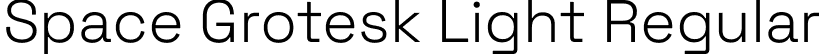 Space Grotesk Light Regular font - SpaceGrotesk-VariableFont_wght.ttf