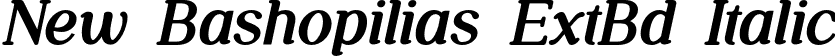 New Bashopilias ExtBd Italic font - NewBashopilias-ExtraBoldItalic.otf