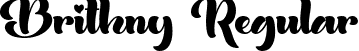 Brithny Regular font - Brithny.ttf