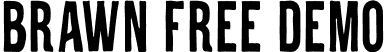 Brawn Free Demo font - Brawn-FreeDemo.otf