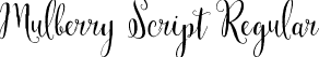 Mulberry Script Regular font - Mulberry Script-Regular.ttf