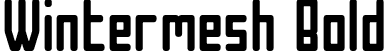 Wintermesh Bold font - Wintermesh Bold.otf