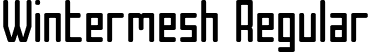 Wintermesh Regular font - Wintermesh.otf