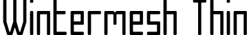 Wintermesh Thin font - Wintermesh Thin.otf