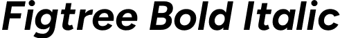 Figtree Bold Italic font - Figtree-BoldItalic.otf