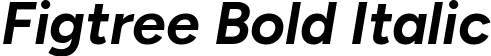 Figtree Bold Italic font - Figtree-BoldItalic.ttf