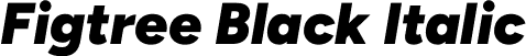 Figtree Black Italic font - Figtree-BlackItalic.otf
