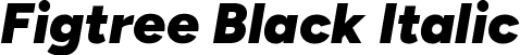 Figtree Black Italic font - Figtree-BlackItalic.ttf