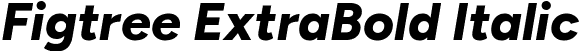 Figtree ExtraBold Italic font - Figtree-ExtraBoldItalic.ttf