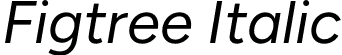 Figtree Italic font - Figtree-Italic.otf