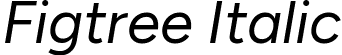 Figtree Italic font - Figtree-Italic.ttf