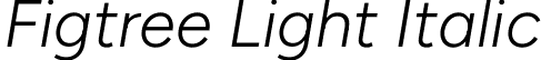 Figtree Light Italic font - Figtree-Italic[wght].ttf