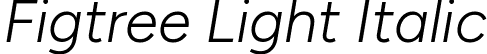 Figtree Light Italic font - Figtree-LightItalic.ttf