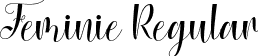 Feminie Regular font - Feminie.ttf