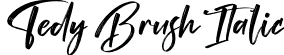 Tedy Brush Italic font - Tedy Brush Italic.otf