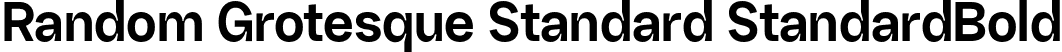 Random Grotesque Standard StandardBold font - RG-StandardBold.otf